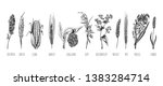 vector hand drawn set of... | Shutterstock .eps vector #1383284714