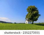 Way chapel in Kellerhof in Bavaria under a big oak tree with blue sky