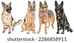 Vector Set Of Dogs German...