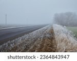 Winter morning with frosted trees, foggy atmosphere, and a disappearing asphalt road. An asphalt road stretches into the distance, disappearing into the mist, adding to the enigmatic composition.