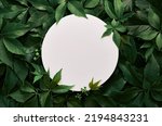 White round template podium mockup for natural organic cosmetic product presentation ad concept on green eco forest fresh leaves nature flat lay background, trendy stylish minimalist flatlay mock up