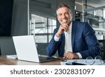 Small photo of Happy smiling middle aged professional business man company executive ceo manager wearing blue suit sitting at desk in office working on laptop computer laughing at workplace. Portrait.
