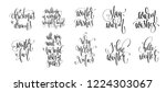 set of 10 hand lettering... | Shutterstock .eps vector #1224303067