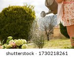 Small photo of watering can for watering flowers and plants in the garden in the hands of the girl. gardening and servility. water splashes