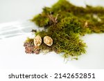 very beautiful minimalist gold... | Shutterstock . vector #2142652851