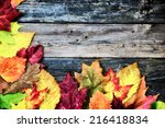 Colorful Autumn Leaves Arranged ...