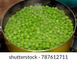 Fresh garden peas cooking in hot water ready for meal.