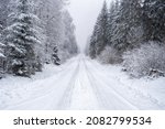 Long straight winter road in a forest