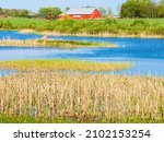 Lake Cultivated Landscape With...