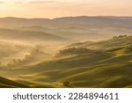 Rural view of a rolling landscape at dawn