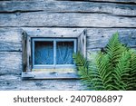 Small photo of Window of an old croft with green fern leaves