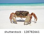 Red Crab On Beautiful Beach...