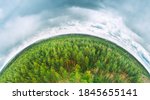 Aerial View Green Coniferous Forest Pines Woods Landscape In Spring Day. Top View Of Beautiful European Nature From High Attitude. Drone View. Bird