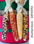 Four Ears Of Indian Corn...