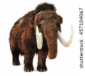 Woolly Mammoth On An Isolated...