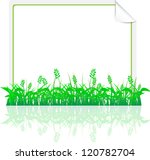 green grass with paper sheet | Shutterstock .eps vector #120782704