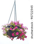 Hanging Basket Of Flowers...