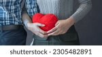 Small photo of banner of Lover couple happy in love relaxing on sofa looking in eye smiling teasing with big red heart shape pillow in valentine day honeymoon. teasing teasing with red heart pillow.