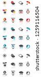 four seasons icon set | Shutterstock .eps vector #1259116504