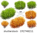 Bush. Isometric Trees In Vector 