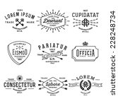 collection monochrome hipster... | Shutterstock .eps vector #228248734