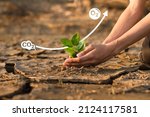 Small photo of Hand planting green tree on dry cracked earth with Co2 and O2 icon metaphor climate change solution. plant absorb carbon dioxide and release oxygen to the air.