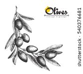 Olive Branch Angular Frame ...