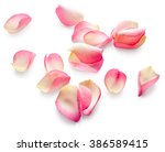 Pink Petals Free Stock Photo - Public Domain Pictures