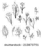 set of different flowers vector | Shutterstock .eps vector #213873751