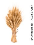 Small photo of Bushy sheaf of wheat isolated on white background