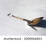 Shovel Lays Discarded In The...