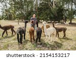 white caucasian man feeding an alpaca on natural background, llama on a farm, domesticated wild animal cute and funny with curly hair used for wool. High quality photo
