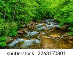 North Fork of Cherry River, Highland Scenic Highway, Monongahela National Forest, West Virginia, USA
