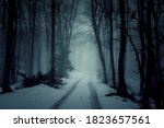 Country road in snowy forest in the mountains at night