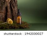 Cosmetic bottle with dropper on a wooden bark, moss decorated with dry Craspedia also known as Billy Balls. Pine tree essential oils on a dark green background.