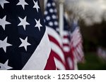Veteran's Day Flags