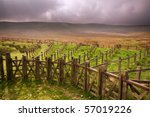 Wooden Sheepfold Complex And...