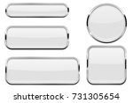white glass buttons with chrome ... | Shutterstock .eps vector #731305654