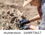Archaeology - excavating ancient human remains with digging tool kit set at archaeological site. 