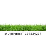 Green grass isolated on white...