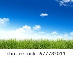 Green Grass And Blue Sky With...