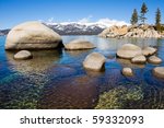 Forest on a Beach landscape in Lake Tahoe, Nevada image - Free stock ...