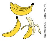 Banana Fruit Illustration Vector