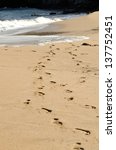 Small photo of a foot prints in the sand on a beach in Maui at DT Flemming Beach