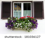  Picturesque Window With Flower ...