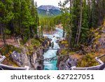 Small island in the river. The waterfall rushes to the rocky shores. Jasper National Park, Canada. The concept of extreme and ecological tourism 