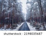 Transport in winter. Asphalt road through snowy forest.Aerial view of nature in Poland