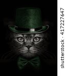 Dark Muzzle Cat  In Green Hat...