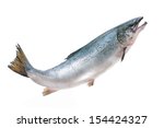 Salmo Salar. Atlantic Salmon On ...