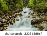 Small photo of rushing torrent with white water and rocks in green nature auf austria